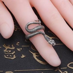 Ancient snake ring